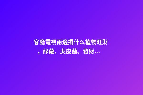 客廳電視兩邊擺什么植物旺財，綠蘿、虎皮蘭、發財樹